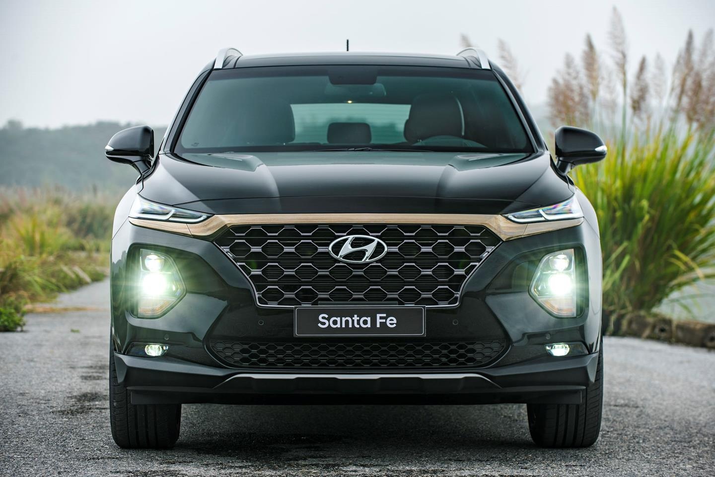 SUV,  thị trường ảnh 2 SUV,  thi truong anh 2