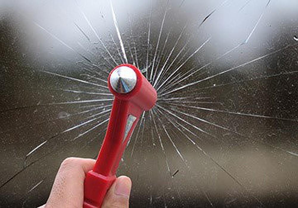 Bi bo quen tren xe 16 cho, nen xu ly nhu the nao? hinh anh