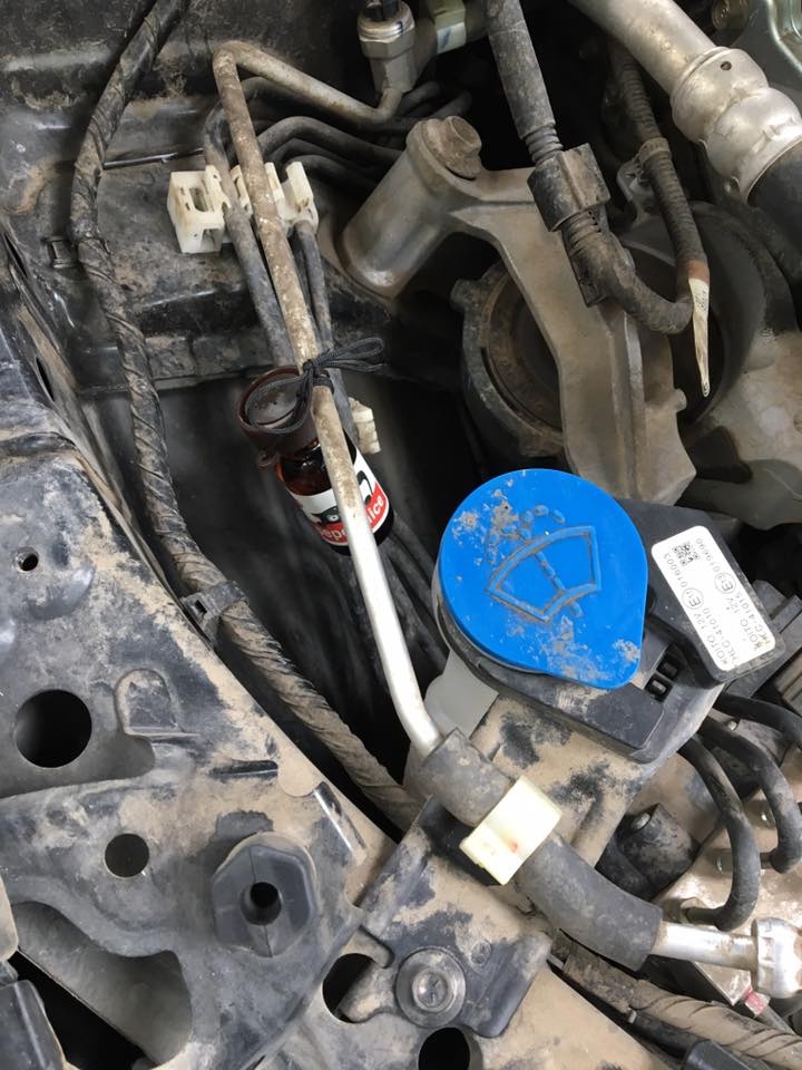 cach chong chuot chui vao oto anh 6