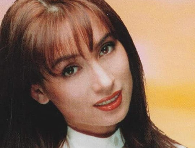 Ca khuc gan lien giong hat Phi Nhung hinh anh