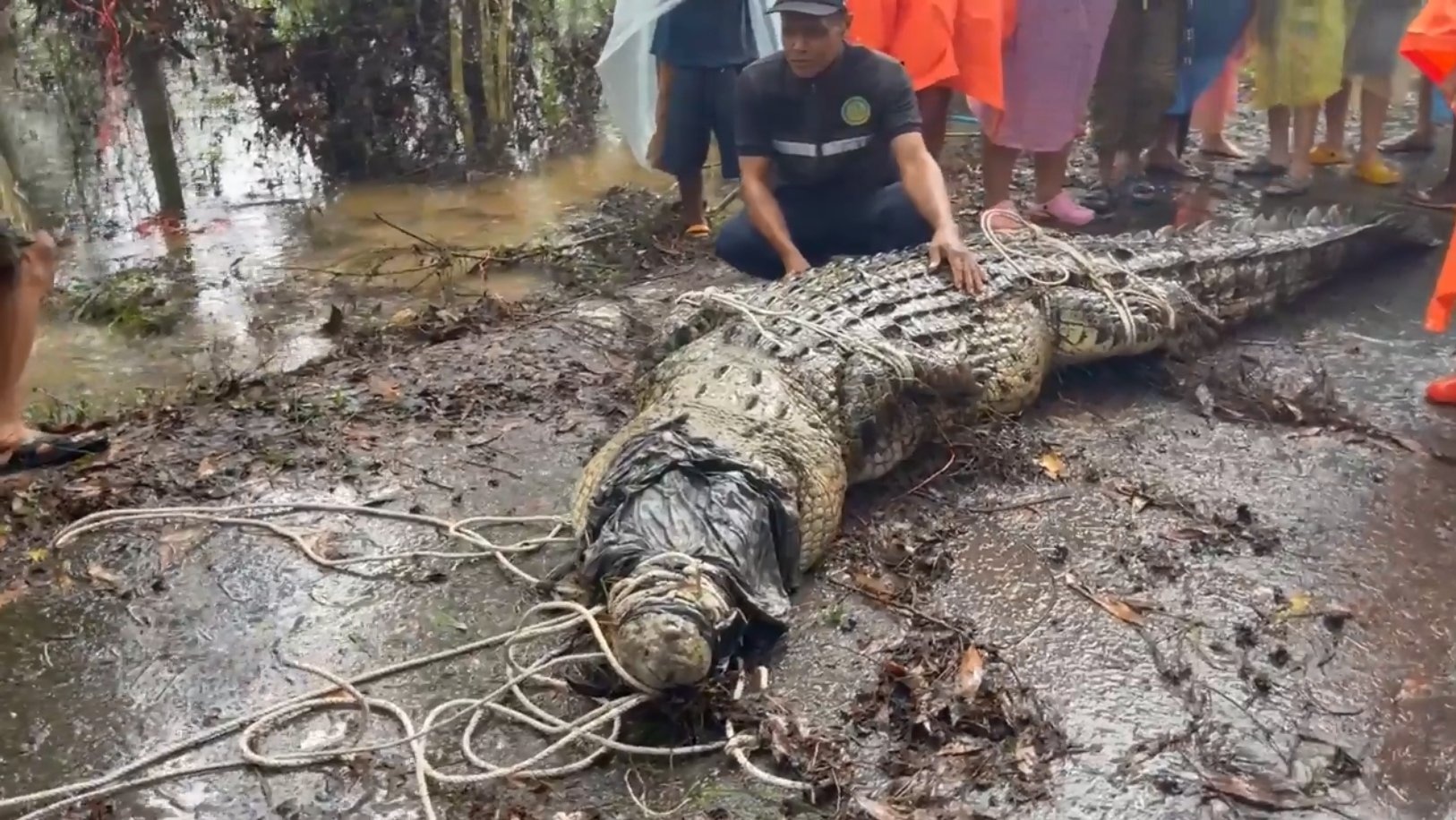 Bat duoc ca sau nang gan nua tan o Thai Lan hinh anh