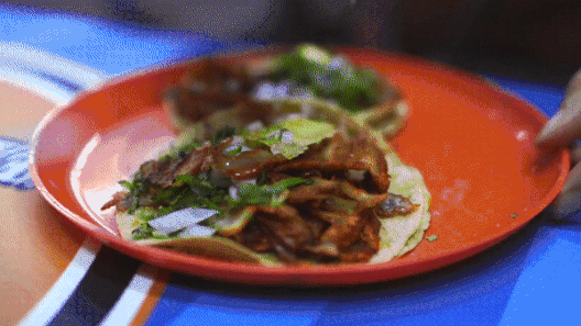 Tai sao chung ta thuong nghien an cay? hinh anh