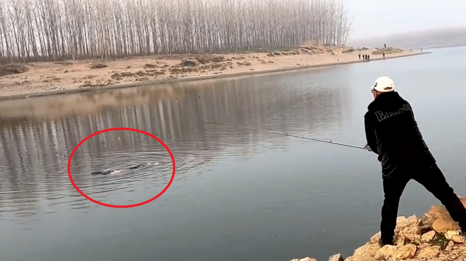 Giai cuu co gai Trung Quoc bi duoi nuoc hinh anh