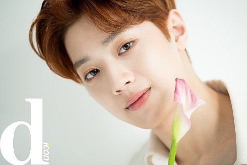 Thanh vien WANNA ONE lap trang web thong bao lich trinh ca nhan anh 11