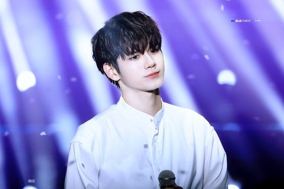 5 nam ca si than tuong 'hoan my' cua Kpop hinh anh