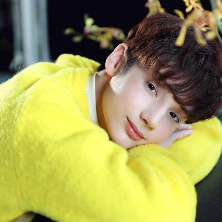 than tuong lai noi tieng Kpop anh 8