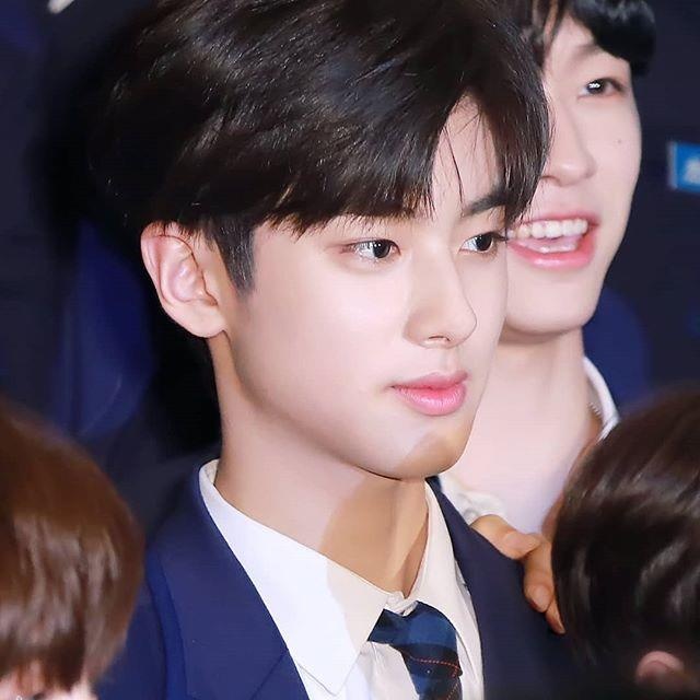 Thuc tap sinh ProduceX101 anh 5