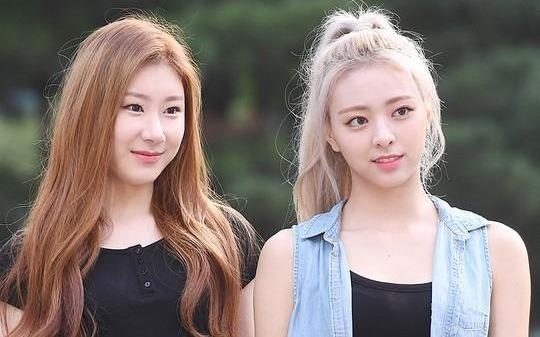 Seventeen va dan tan binh Kpop rang ro di ghi hinh hinh anh