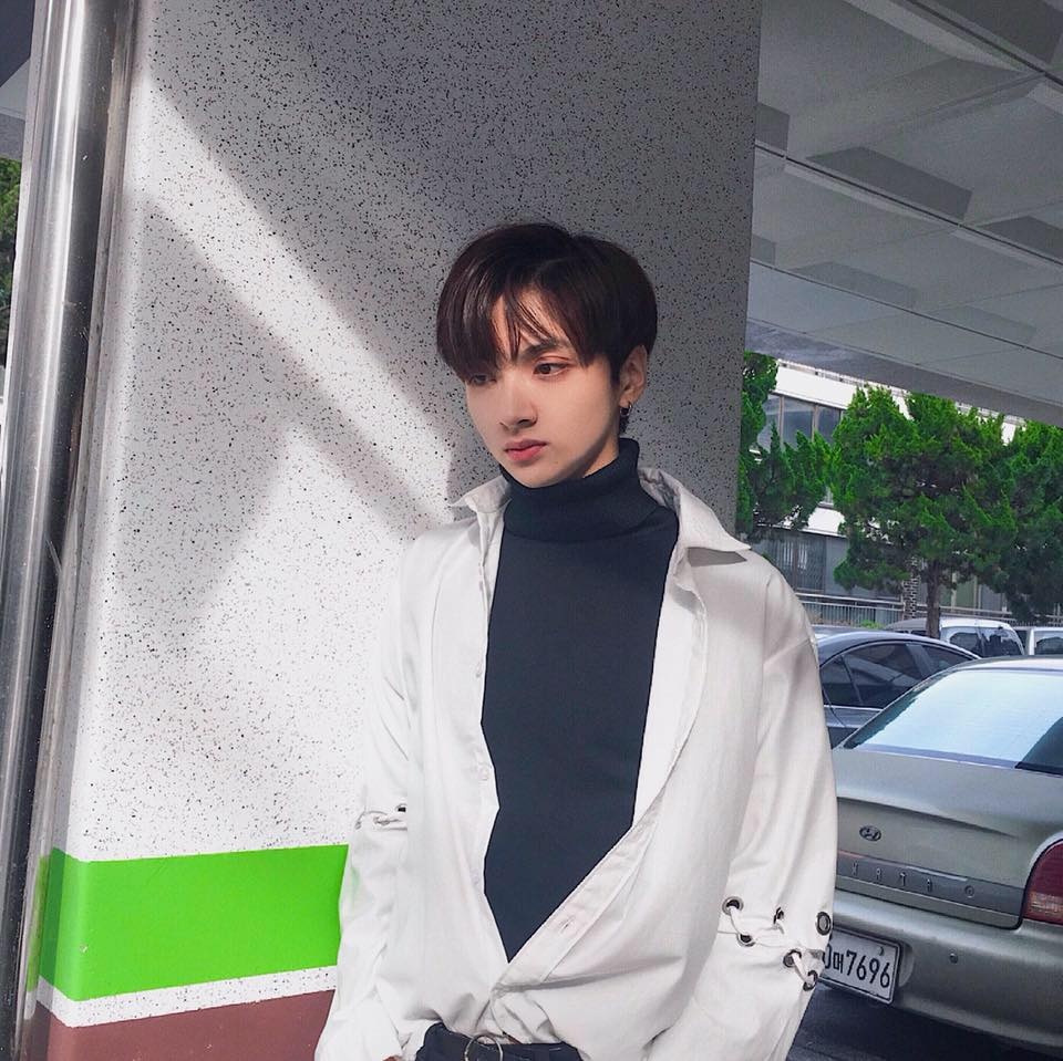 ca si Viet xuat than tu vu cong anh 12