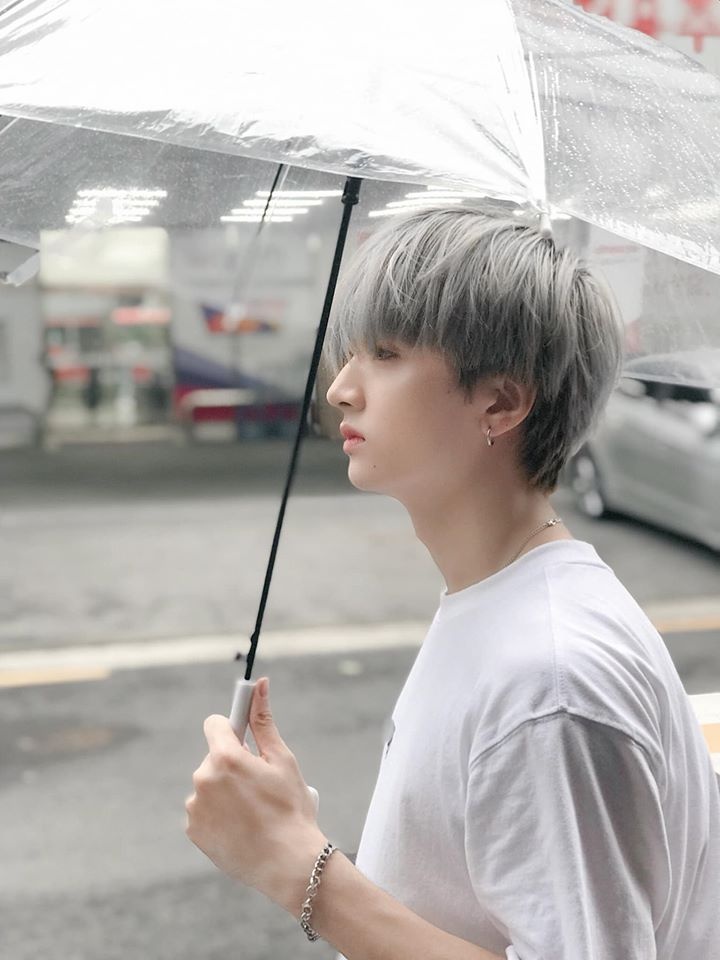 ca si Viet xuat than tu vu cong anh 11