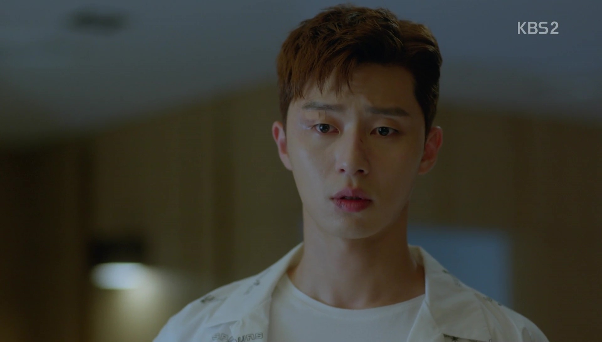 vai diễn biểu tượng của Park Seo Joon  ảnh 5 vai dien bieu tuong cua Park Seo Joon anh 5