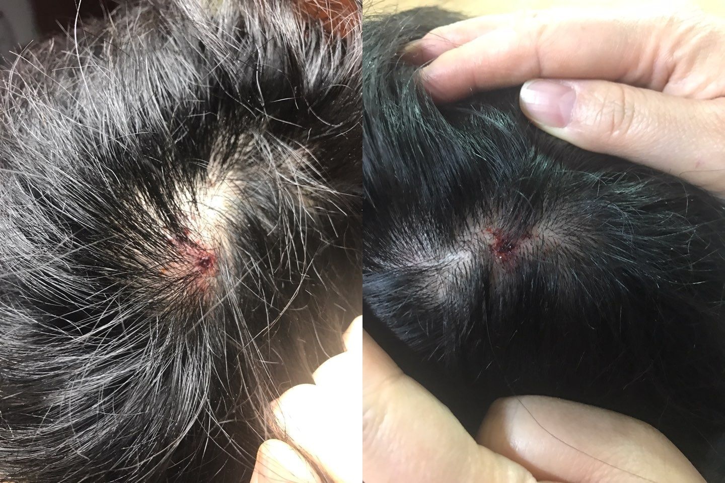 idol Kpop bi cong ty quan ly bao hanh anh 3