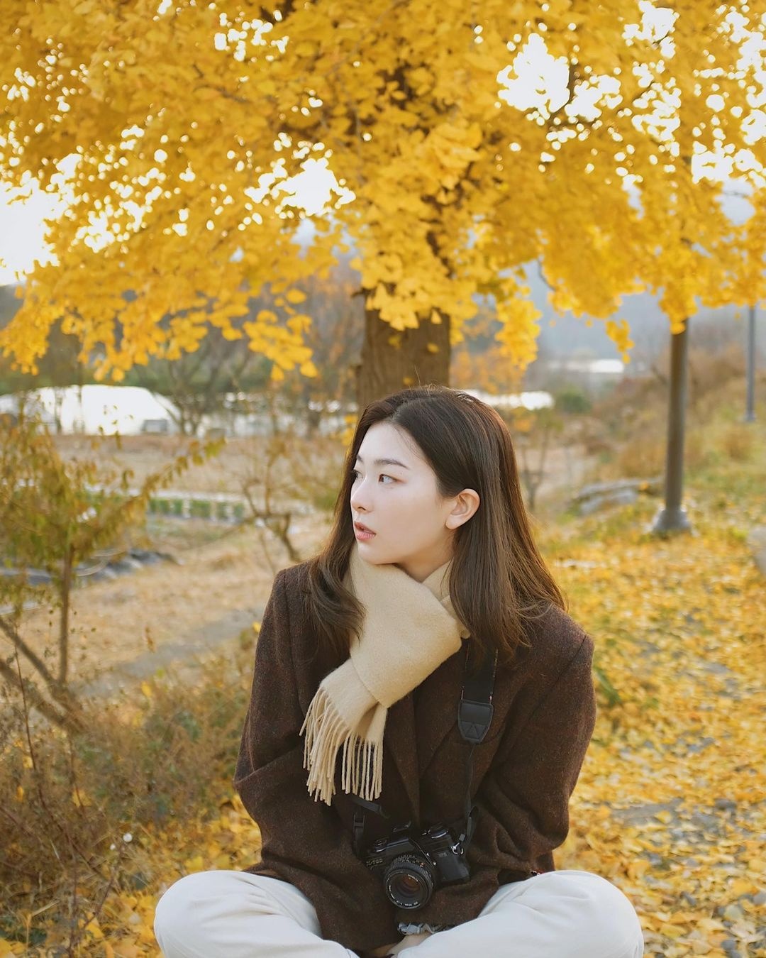 Vẻ đẹp đời thường của Seulgi ảnh 1 Ve dep doi thuong cua Seulgi anh 1