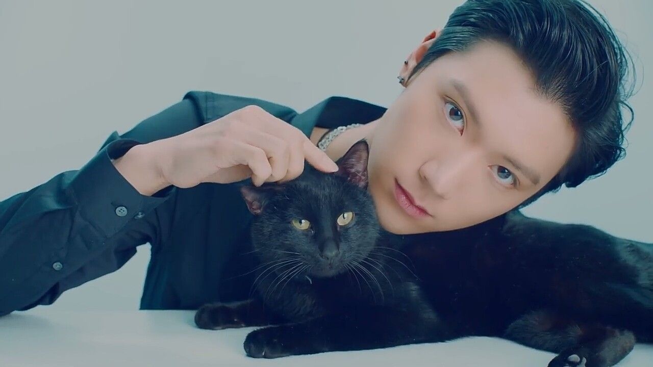 Ten la idol da tai cua SM anh 11