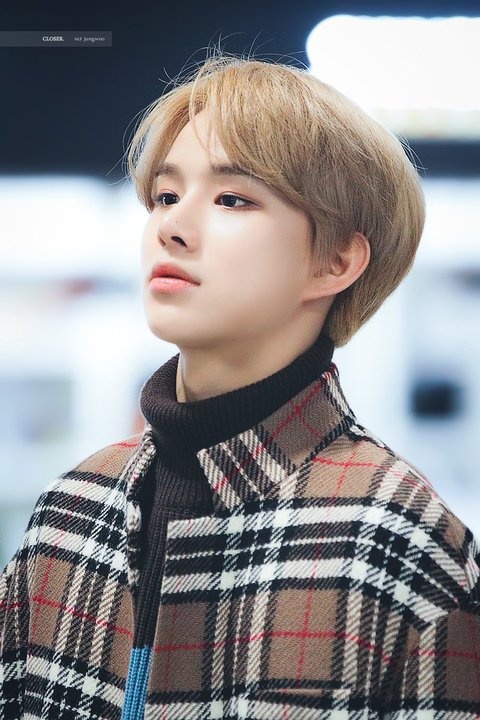 than tuong duoc tuyen chon khac nghiet anh 7