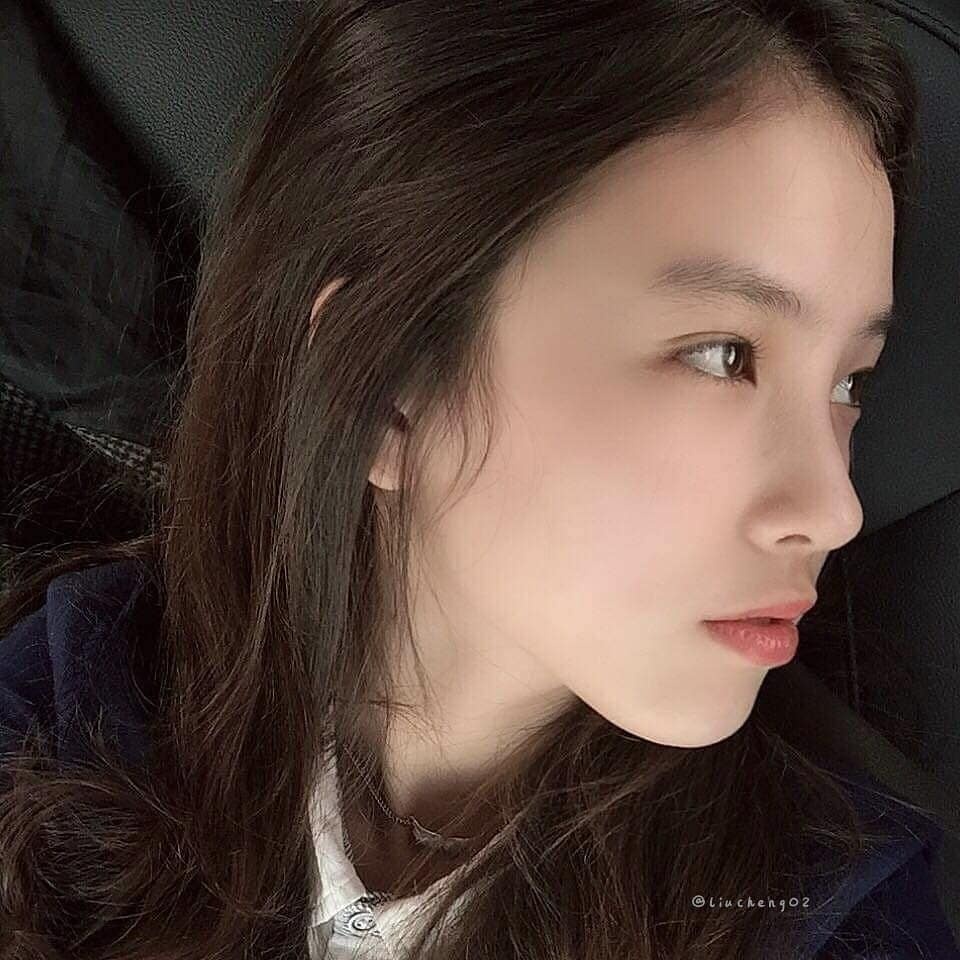 bông hồng lai thế hệ mới ảnh 12 bong hong lai the he moi anh 12