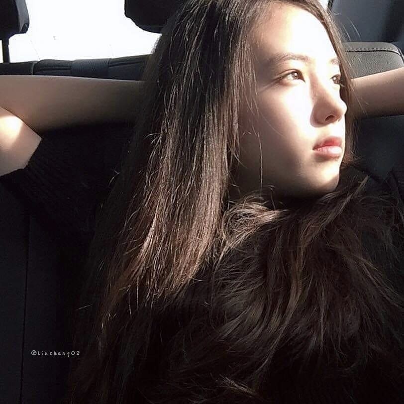 bông hồng lai thế hệ mới ảnh 13 bong hong lai the he moi anh 13