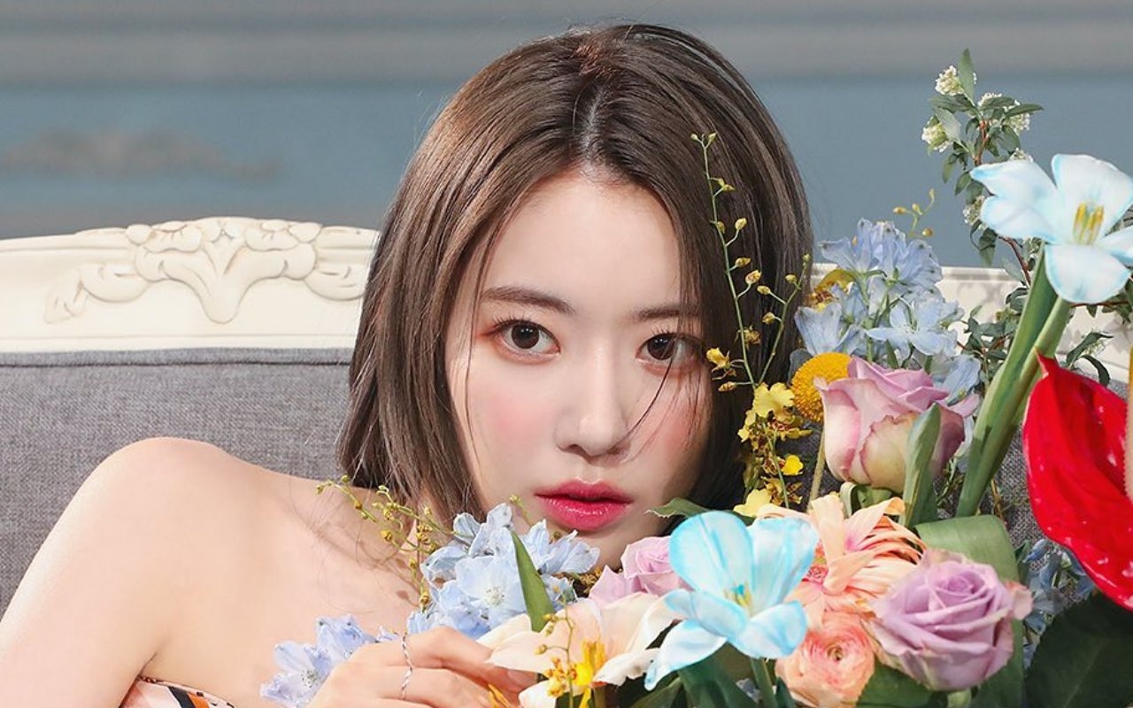 Sao nữ nổi tiếng Nhật Bản từ bỏ sự nghiệp để làm idol Kpop ảnh 17 Sao nu noi tieng Nhat Ban tu bo su nghiep de lam idol Kpop anh 17