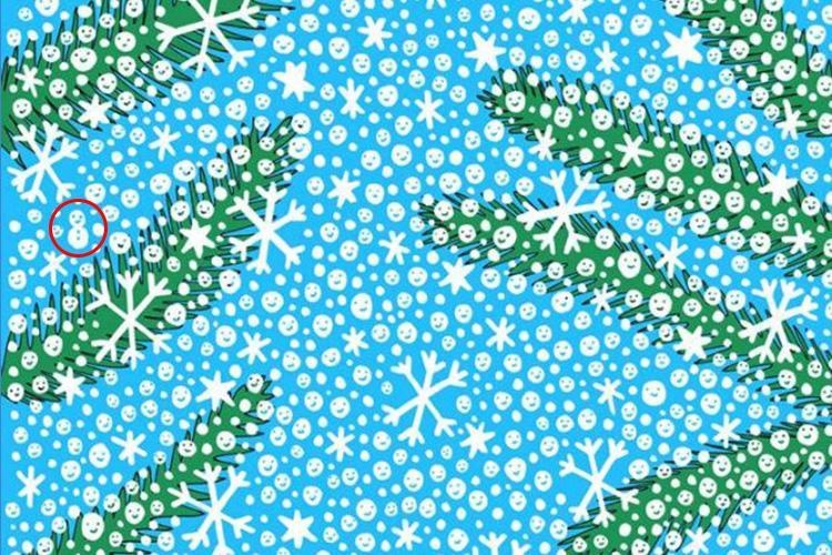 Câu đố tìm người tuyết trong tranh ảnh 2 Cau do tim nguoi tuyet trong tranh anh 2