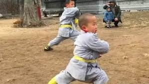 Tieu hoa thuong 3 tuoi noi tieng Trung Quoc anh 3