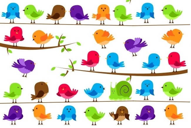 Do ban tim thay chu oc sen giua bay chim tren canh cay hinh anh