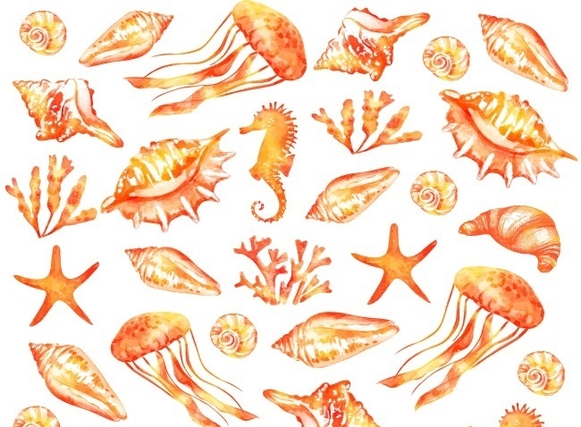 Do ban tim thay chiec banh sung bo trong buc tranh nay hinh anh