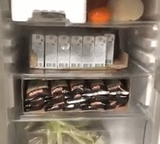 Dinh Trong thich thu khoe duoc fan gui tang ca tu do an vat hinh anh