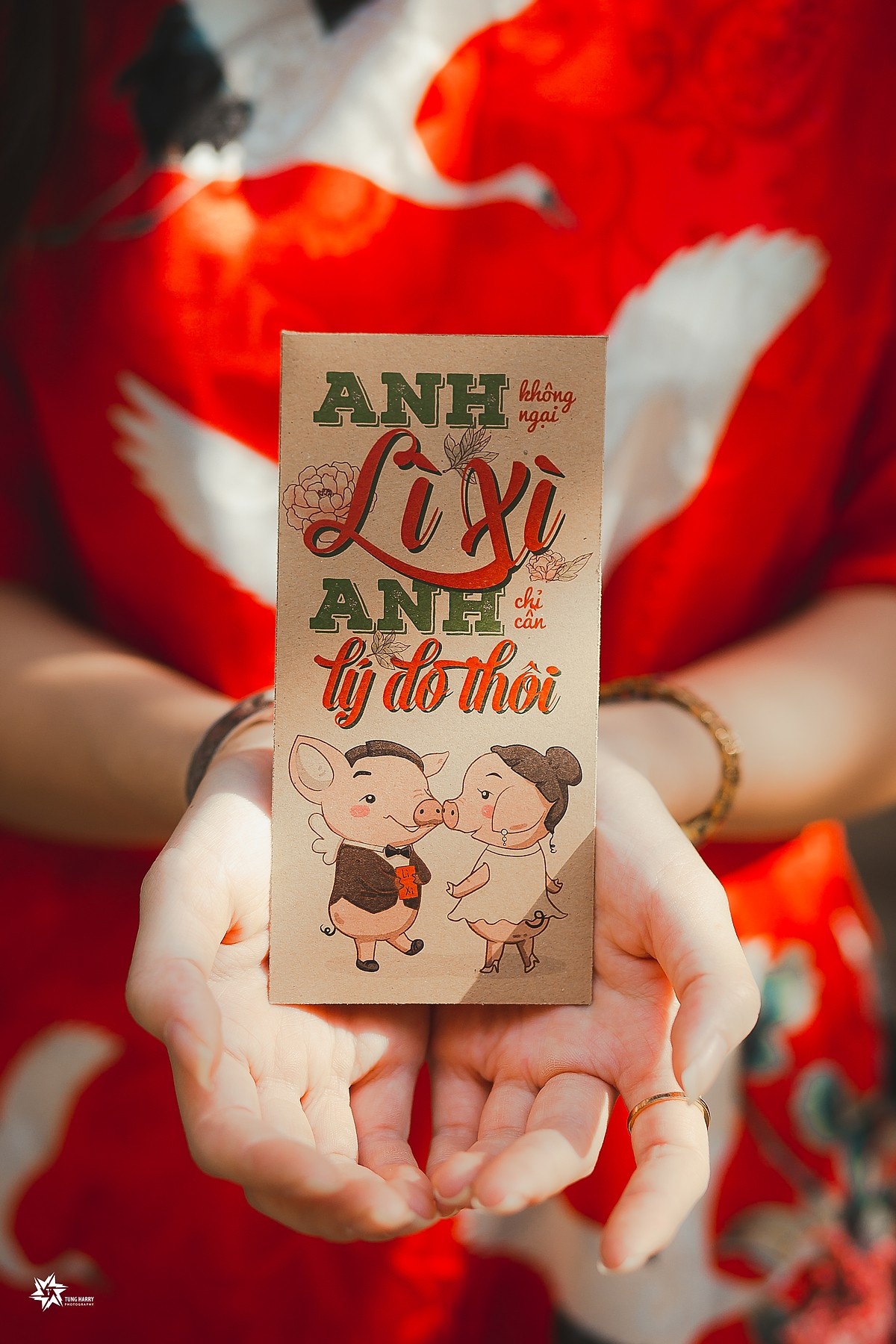 bao li xi nam 2019 anh 4