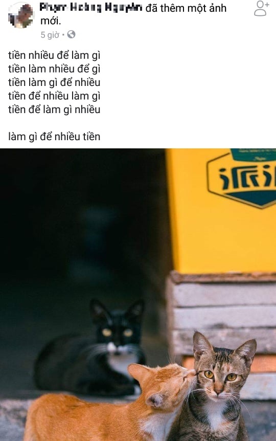 tien nhieu de lam gi anh 6