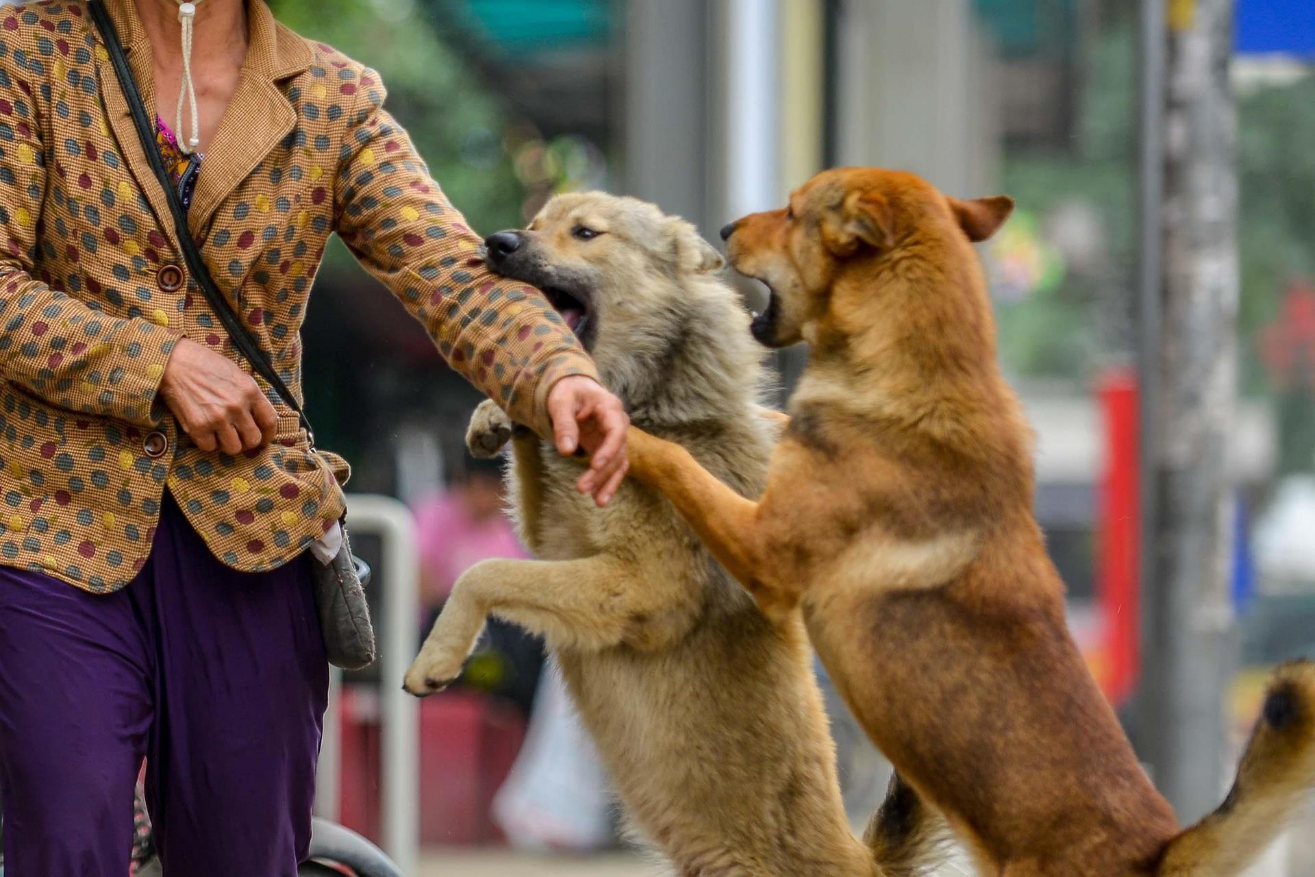 Hiem hoa tu chu cho ma ban nghi la hien anh 2