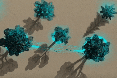 Khong phai Internet, he thong cay coi moi la 'sieu lien ket' dau tien hinh anh