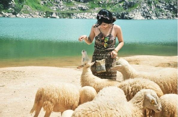 Chu nha treo bien canh bao vi nhieu nguoi di lac vao nha anh 3