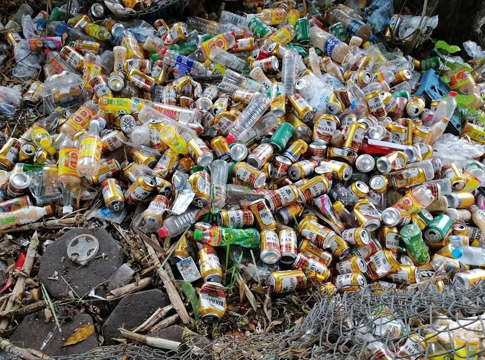 Chu cho tha chai lo cu ve nha anh 4