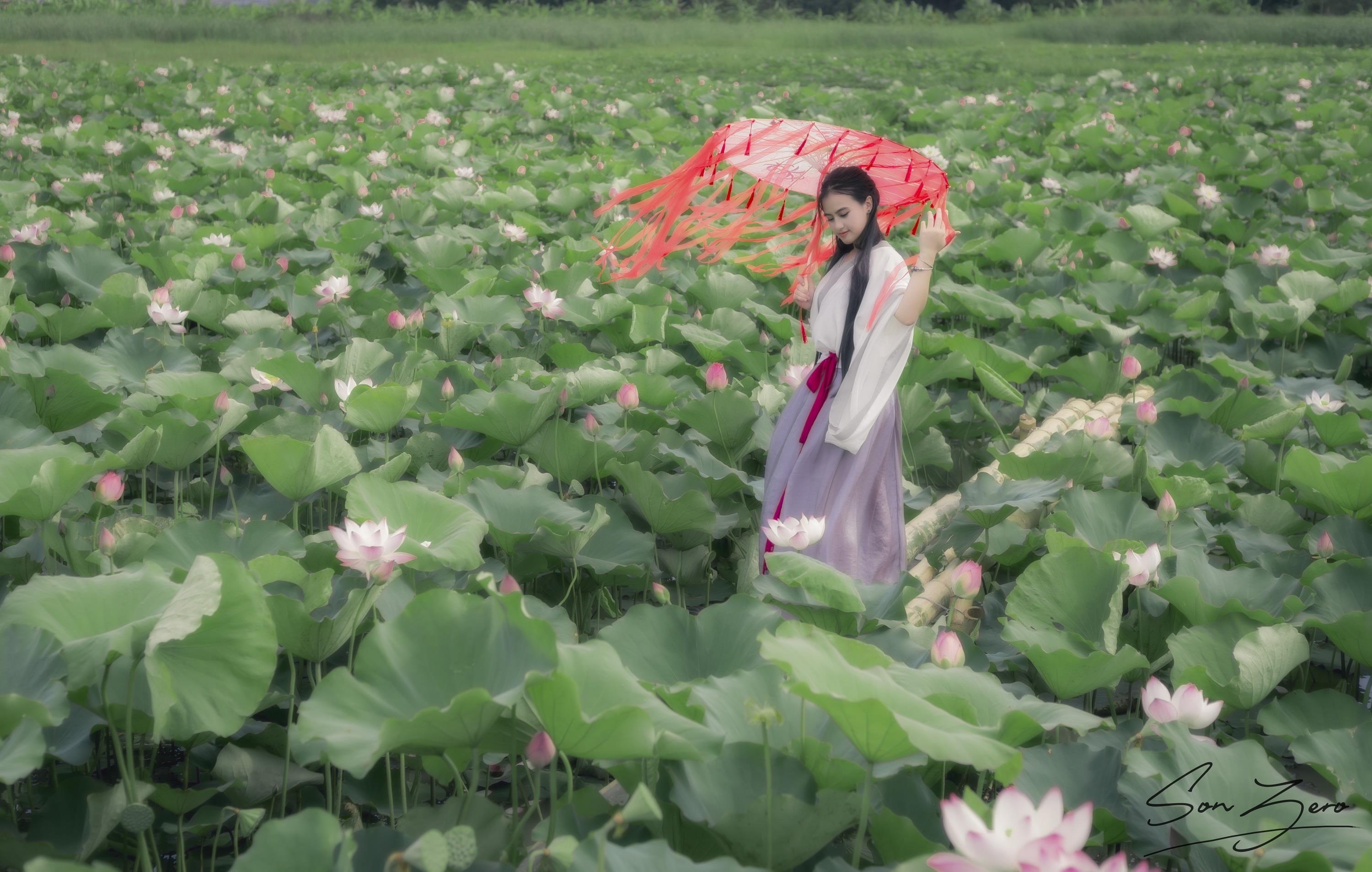 Chup anh sen phong cach co trang anh 7