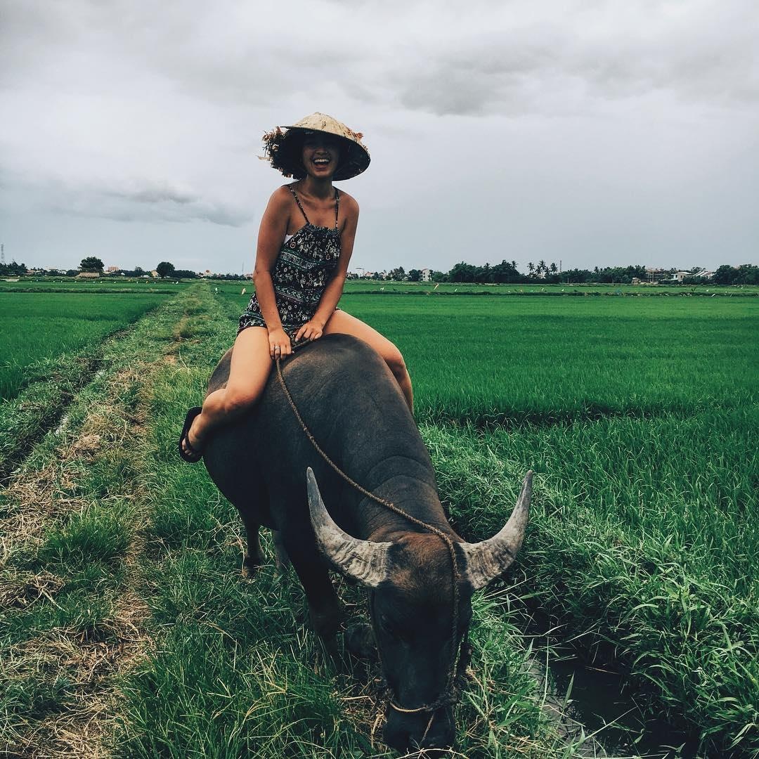 Blogger goc Viet o My anh 6