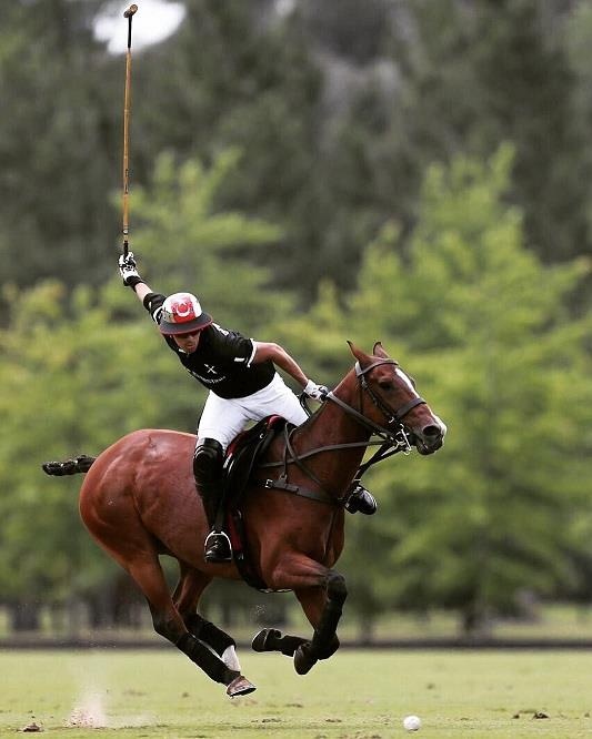 Hoang tu bang Johor cua Malaysia anh 11