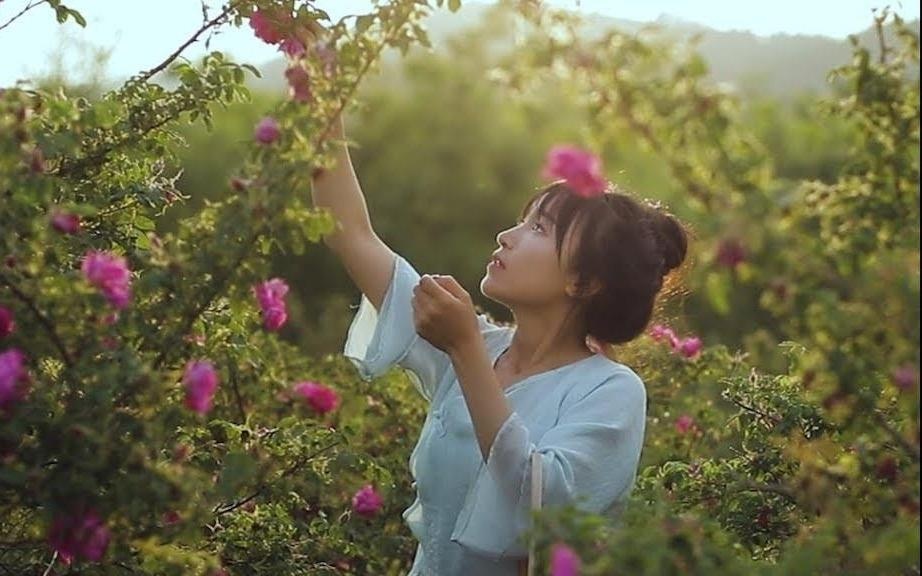 Dan mang the gioi dang xem vlog gi? hinh anh