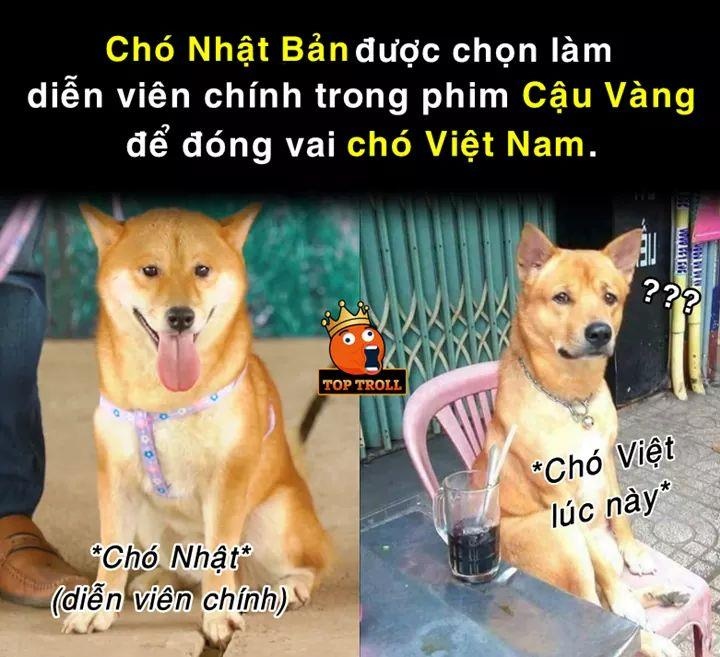 cho Nhat vao vai cau vang anh 3