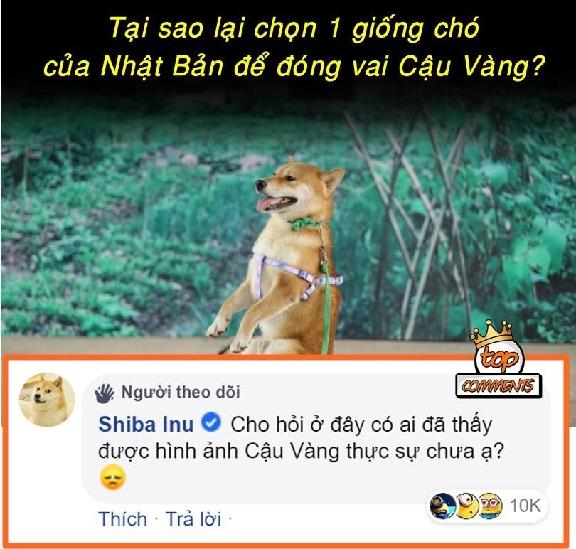 cho Nhat vao vai cau vang anh 4