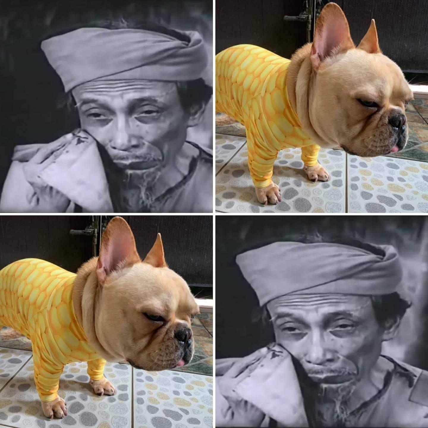 cho Nhat vao vai cau vang anh 5