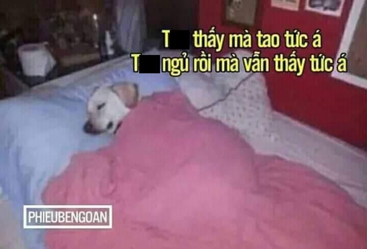 cho Nhat vao vai cau vang anh 7