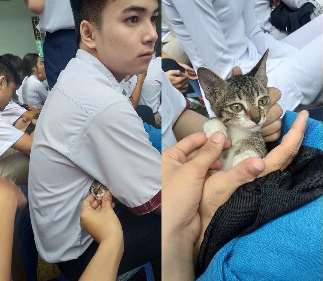 Anh vui ngay khai giang anh 4