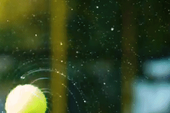 Loat bi kip chup anh song ao doc dao, khong dung hang hinh anh