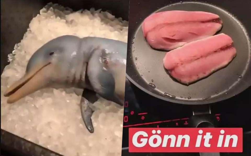 vlogger ăn thịt cá heo ảnh 2 vlogger an thit ca heo anh 2