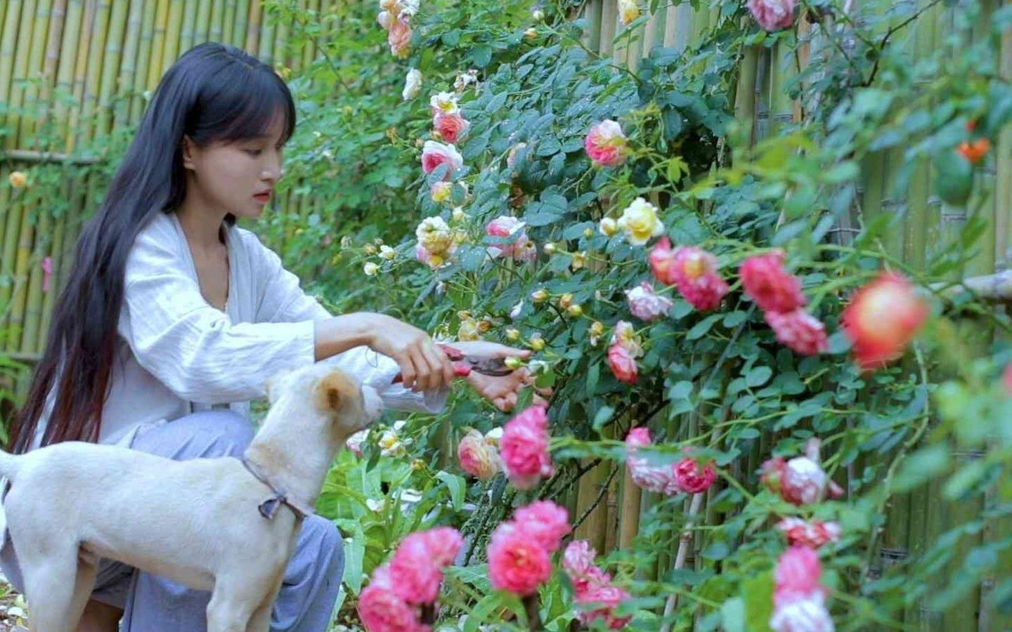 Ngoi nha dep nhu tranh ve cua 'tien nu dong que' Ly Tu That hinh anh