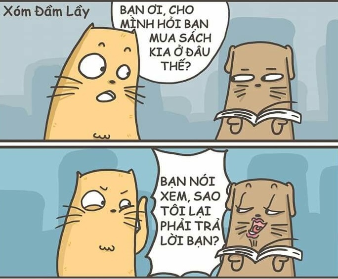 Tai sao minh phai tra loi ban anh 2