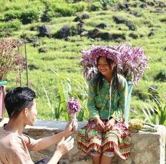 Em gái bán hoa ở Hà Giang ảnh 2 Em gai ban hoa o Ha Giang anh 2