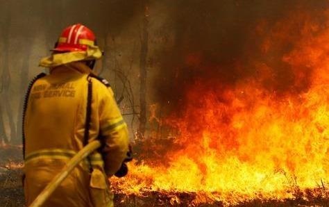 Linh cuu hoa Australia de lai loi xin loi vi uong sua trong nha dan hinh anh