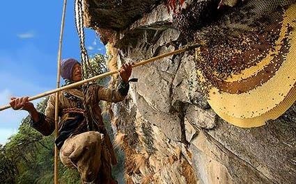 Treo minh tren vach nui cao hang tram met lay mat ong hinh anh