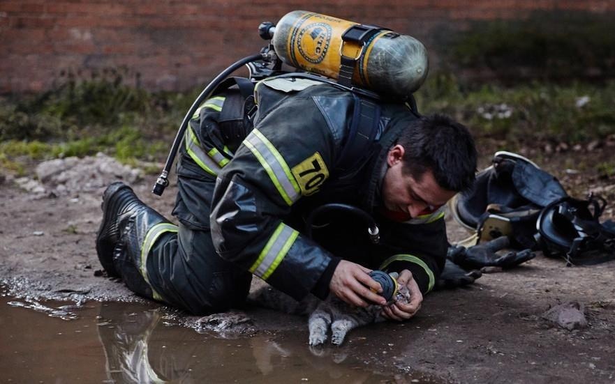 Linh cuu hoa cho chu meo dang hap hoi tho mat na duong khi hinh anh